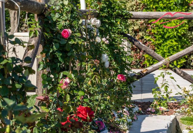 Villa à Massa Lubrense - Dimora delle rose