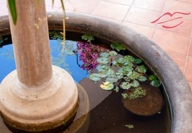 Villa a Positano - Villa Field con terrazze private Villa a Positano - Villa Field con terrazze private