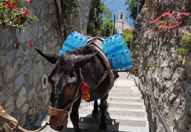 Apartment in Positano - Estate4home - GOAT PATH Apartment in Positano - Estate4home - GOAT PATH