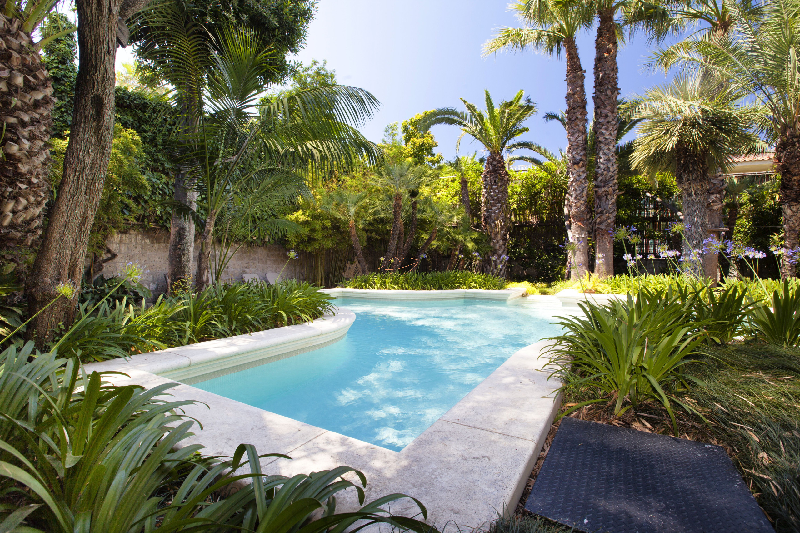 Villa/Dettached house in Sant´Agnello - Estate4home - Villa le Camelie 