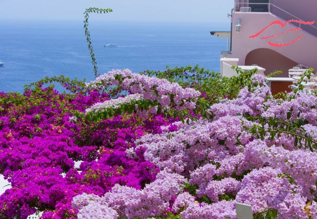 House in Positano - Estate4home- La casa del maresciallo House in Positano - Estate4home- La casa del maresciallo