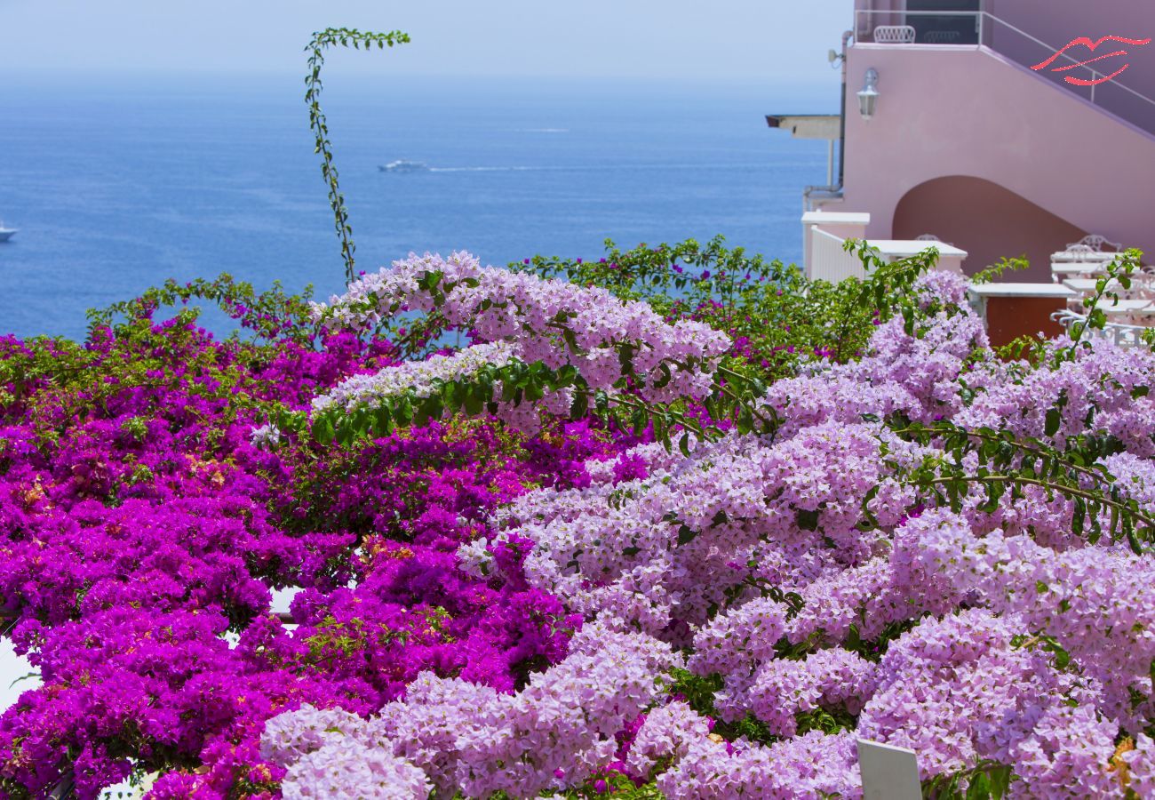House in Positano - Estate4home- La casa del maresciallo House in Positano - Estate4home- La casa del maresciallo